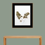 CRAFT WITH NATURAL LEAFS