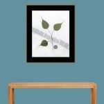 CRAFT WITH NATURAL LEAFS
