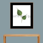 CRAFT WITH NATURAL LEAFS
