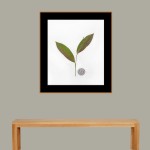 CRAFT WITH NATURAL LEAFS
