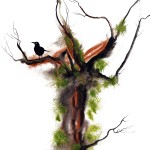 ORIGINAL ARTWORK WATERCOLOUR ON PAPER