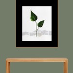 CRAFT WITH NATURAL LEAFS