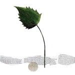 CRAFT WITH NATURAL LEAFS