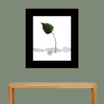 CRAFT WITH NATURAL LEAFS