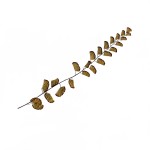 CRAFT WITH NATURAL LEAFS
