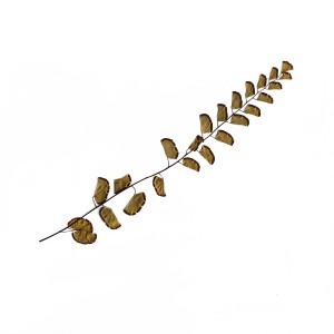 CRAFT WITH NATURAL LEAFS