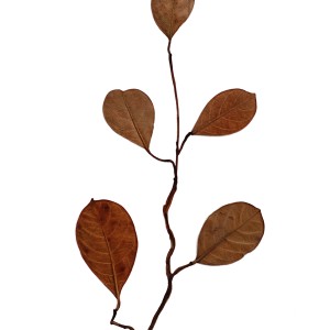 CRAFT WITH NATURAL LEAFS