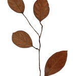 CRAFT WITH NATURAL LEAFS