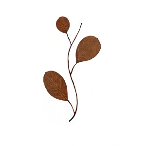 CRAFT WITH NATURAL LEAFS