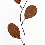 CRAFT WITH NATURAL LEAFS