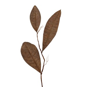 CRAFT WITH NATURAL LEAFS