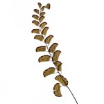 CRAFT WITH NATURAL LEAFS