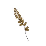CRAFT WITH NATURAL LEAFS