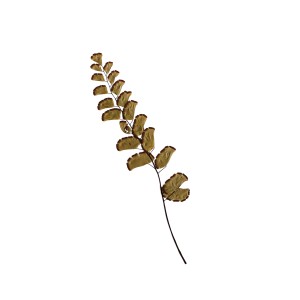 CRAFT WITH NATURAL LEAFS