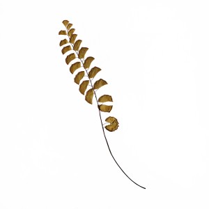 CRAFT WITH NATURAL LEAFS