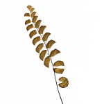 CRAFT WITH NATURAL LEAFS
