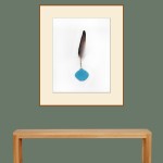 CRAFT WITH ORIGINAL FEATHER