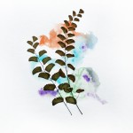 CRAFT WITH NATURAL LEAFS