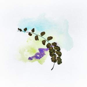 CRAFT WITH NATURAL LEAFS
