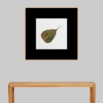 CRAFT WITH NATURAL LEAFS