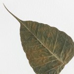 CRAFT WITH NATURAL LEAFS