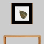 CRAFT WITH NATURAL LEAFS