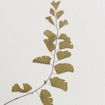 CRAFT WITH NATURAL LEAFS