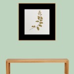 CRAFT WITH NATURAL LEAFS