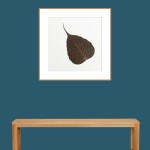 CRAFT WITH NATURAL LEAFS