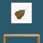 CRAFT WITH NATURAL LEAFS