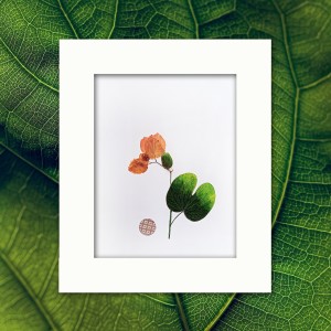 CRAFT WITH NATURAL LEAFS