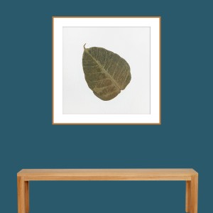 CRAFT WITH NATURAL LEAFS