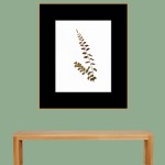 CRAFT WITH NATURAL LEAFS