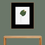 CRAFT WITH NATURAL LEAFS