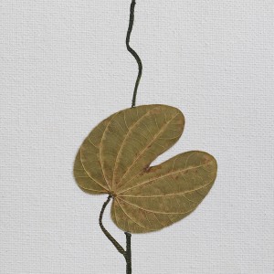CRAFT WITH NATURAL LEAFS