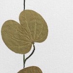 CRAFT WITH NATURAL LEAFS