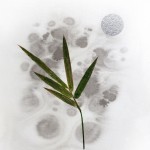 CRAFT WITH NATURAL LEAFS