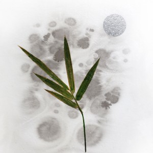 CRAFT WITH NATURAL LEAFS