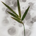 CRAFT WITH NATURAL LEAFS
