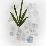 CRAFT WITH NATURAL LEAFS