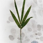CRAFT WITH NATURAL LEAFS