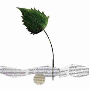 CRAFT WITH NATURAL LEAFS