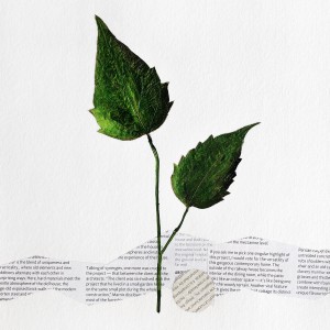 CRAFT WITH NATURAL LEAFS