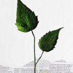 CRAFT WITH NATURAL LEAFS